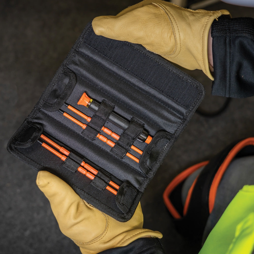 Klein 13157INSP Screwdriver Blades, Insulated Double-Ended Slotted, Phillips, 2-Pack - Ace Tool Group - Klein