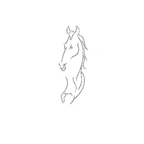 Cmt Rcs-902 Horse Template - Ace Tool Group - CMT