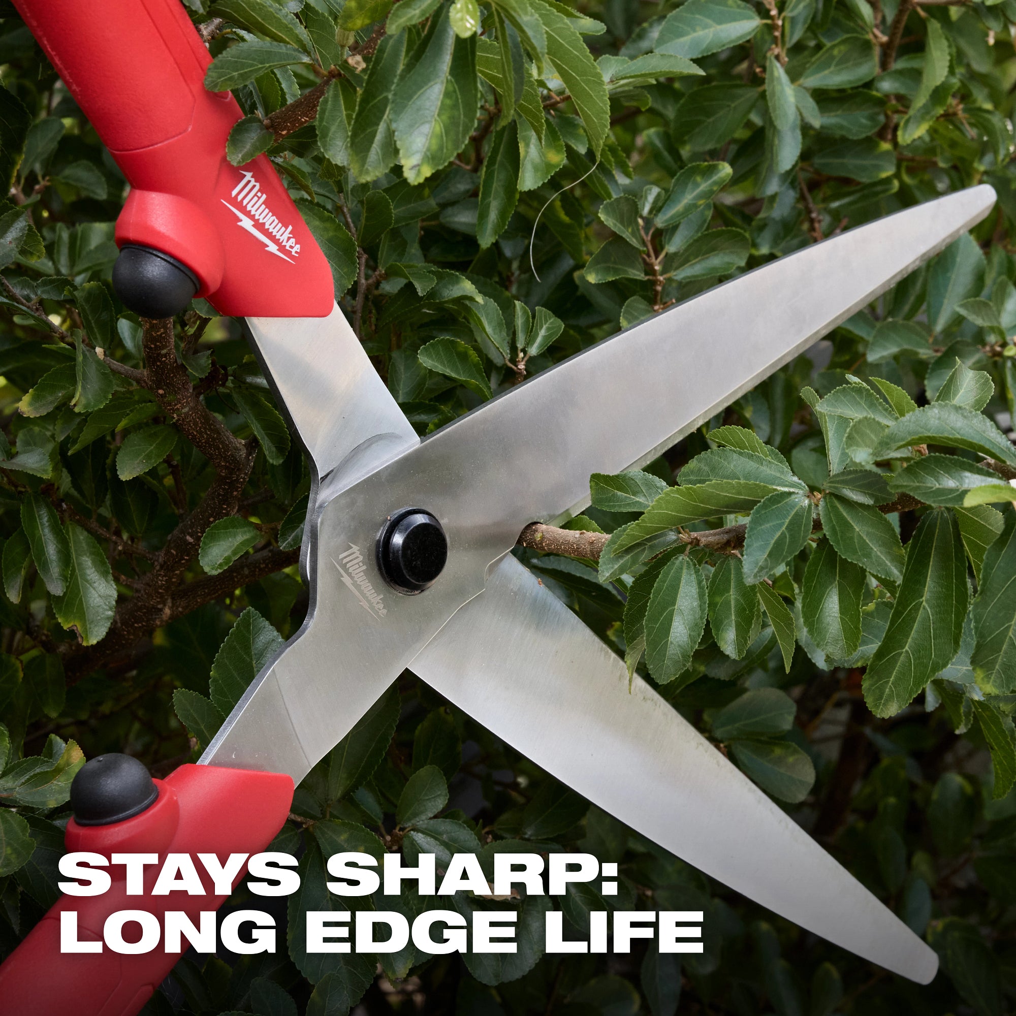 Milwaukee 48-22-9382 10” Hedge Shears