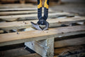 Dewalt Dwht75488 10" Multi-Function End Nipper - Ace Tool Group - DeWalt