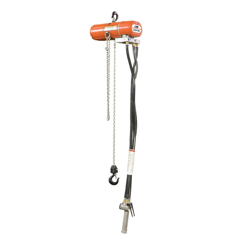 Vestil Air Chain Hoist 250 Lb Cap 10 Ft Lift - Ace Tool Group - Vestil
