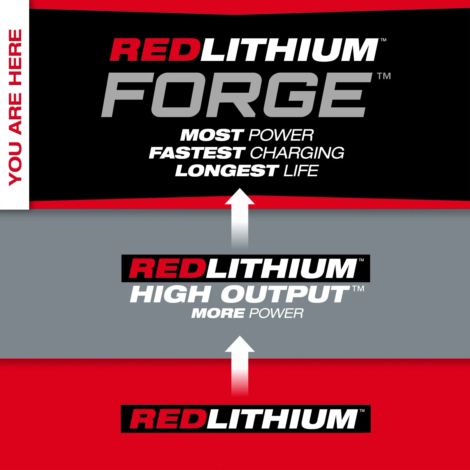 Milwaukee 48-59-1881F M18™ REDLITHIUM™ FORGE™ XC8.0 Dual Battery Starter Kit - Ace Tool Group - Milwaukee