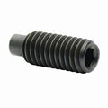 Cmt 990.084.00 Screw M6X20 - Ace Tool Group - CMT