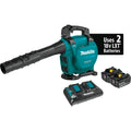 Makita XBU04PT 18V X2 (36V) Cordless Blower Kit 5.0 - Ace Tool Group - Makita