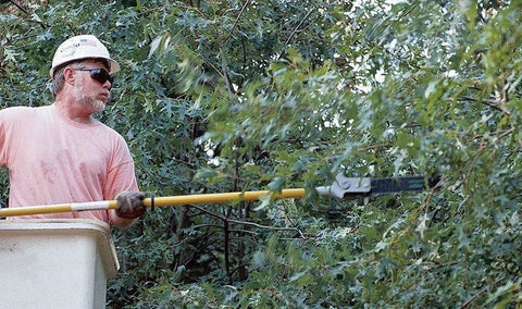 Greenlee 43178 Long Reach Chain Saw (62") - Ace Tool Group - Greenlee