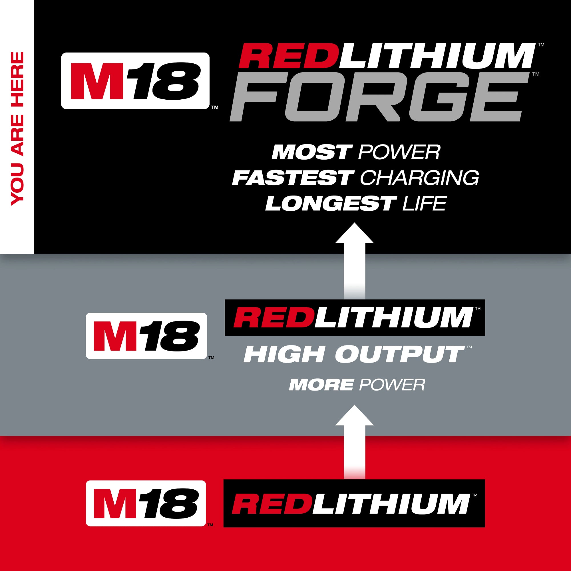 Milwaukee 48-11-1814 M18™ REDLITHIUM™ FORGE™ HD12.0 Battery (10 Pk) - Ace Tool Group - Milwaukee Tool
