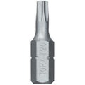 Dewalt Dw2660 T20 Torx 2 Inch Steel Power Bits (2 Pack) - Ace Tool Group - DeWalt