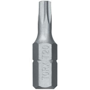 Dewalt Dw2660 T20 Torx 2 Inch Steel Power Bits (2 Pack) - Ace Tool Group - DeWalt