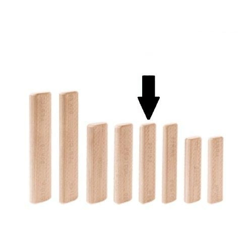 Festool 498215 Domino XL Beech 10x100mm Tenons 120 Pack - Ace Tool Group - Festool