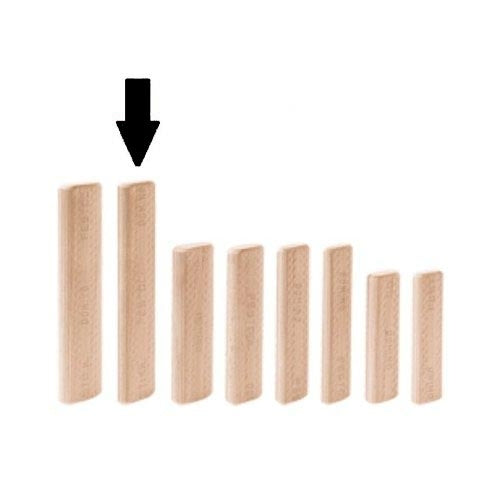 Festool 498216 Domino XL Beech 12x100mm Tenons 100 Pack - Ace Tool Group - Festool