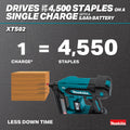 Makita XTS02Z 18V LXT® 1/4 Narrow Crown Stapler - Ace Tool Group - Makita