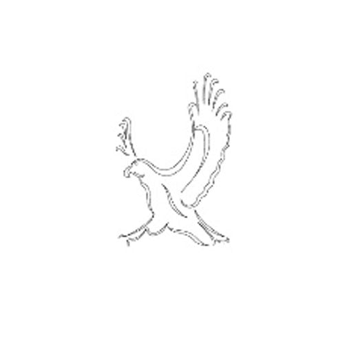 Cmt Rcs-804 Eagle Template - Ace Tool Group - CMT