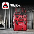 Milwaukee 48-22-8425 PACKOUT  Large Tool box - Ace Tool Group - Milwaukee