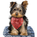 Occunomix 990-018 Miracool Dog Bandana: Navy Blue - Ace Tool Group - Occunomix