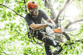 Stihl 1252-200-0048 MSA 161 T 12 Inch Bar Lithium-Ion Battery-Powered Top Handle Chainsaw (Bare Tool) - Ace Tool Group - Stihl