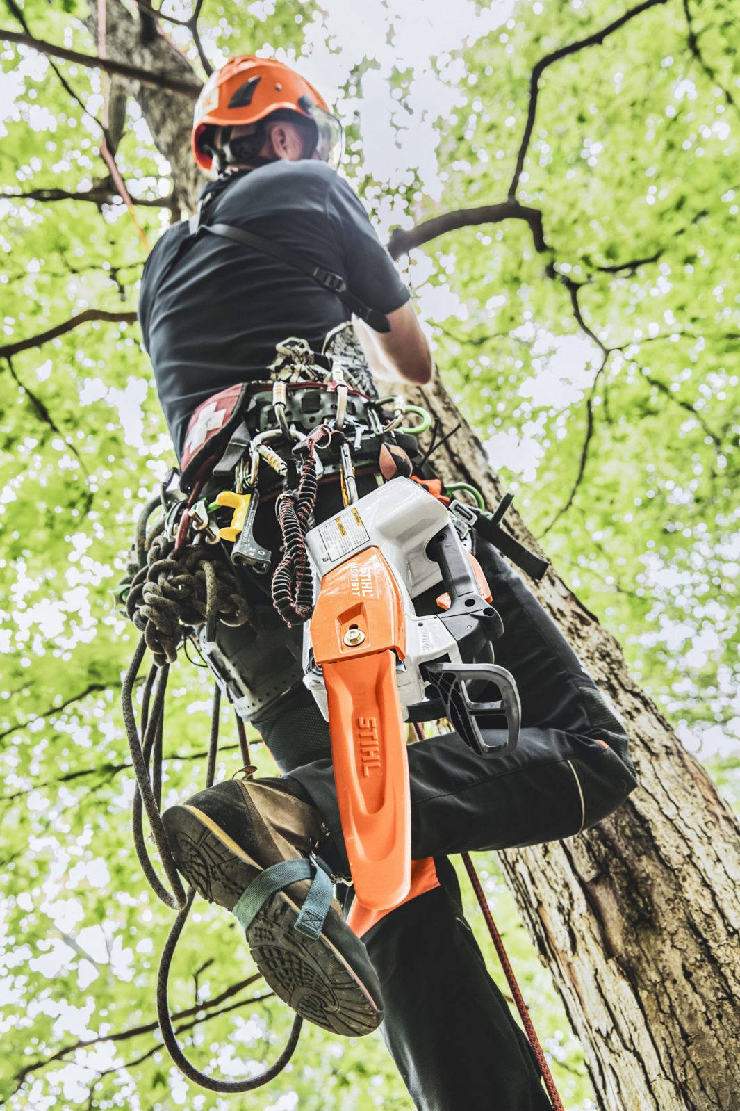 Stihl 1252-200-0048 MSA 161 T 12 Inch Bar Lithium-Ion Battery-Powered Top Handle Chainsaw (Bare Tool) - Ace Tool Group - Stihl