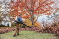 Stihl 4283 011 1600 US BR 800 C-E MAGNUM Gas Powered Backpack Blower - Ace Tool Group - Stihl