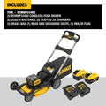 DEWALT DCMWP234U2 2X20V MAX XR Cordless Push Mower Kit - Ace Tool Group - DeWalt